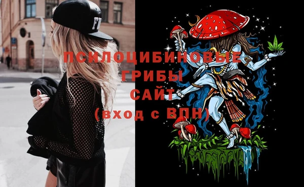 ПСИЛОЦИБИНОВЫЕ ГРИБЫ Белокуриха