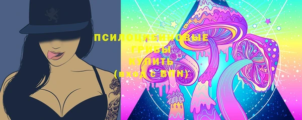 ПСИЛОЦИБИНОВЫЕ ГРИБЫ Белокуриха