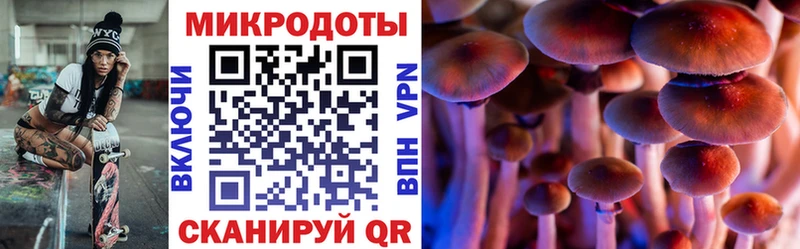 Псилоцибиновые грибы MAGIC MUSHROOMS Каменка